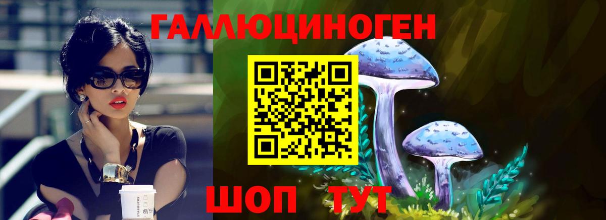 Галлюциногенные грибы GOLDEN TEACHER  Вход с VPN  Шатура 